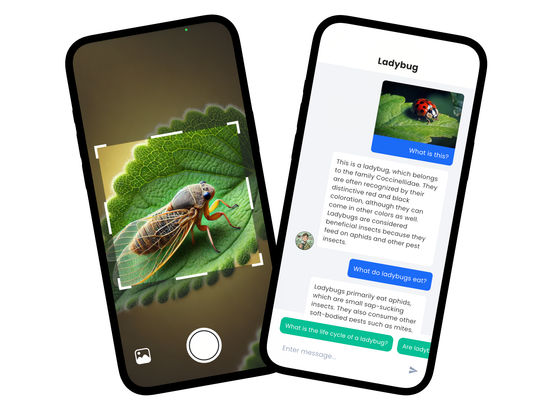Insect identification app interface showing insect identification features