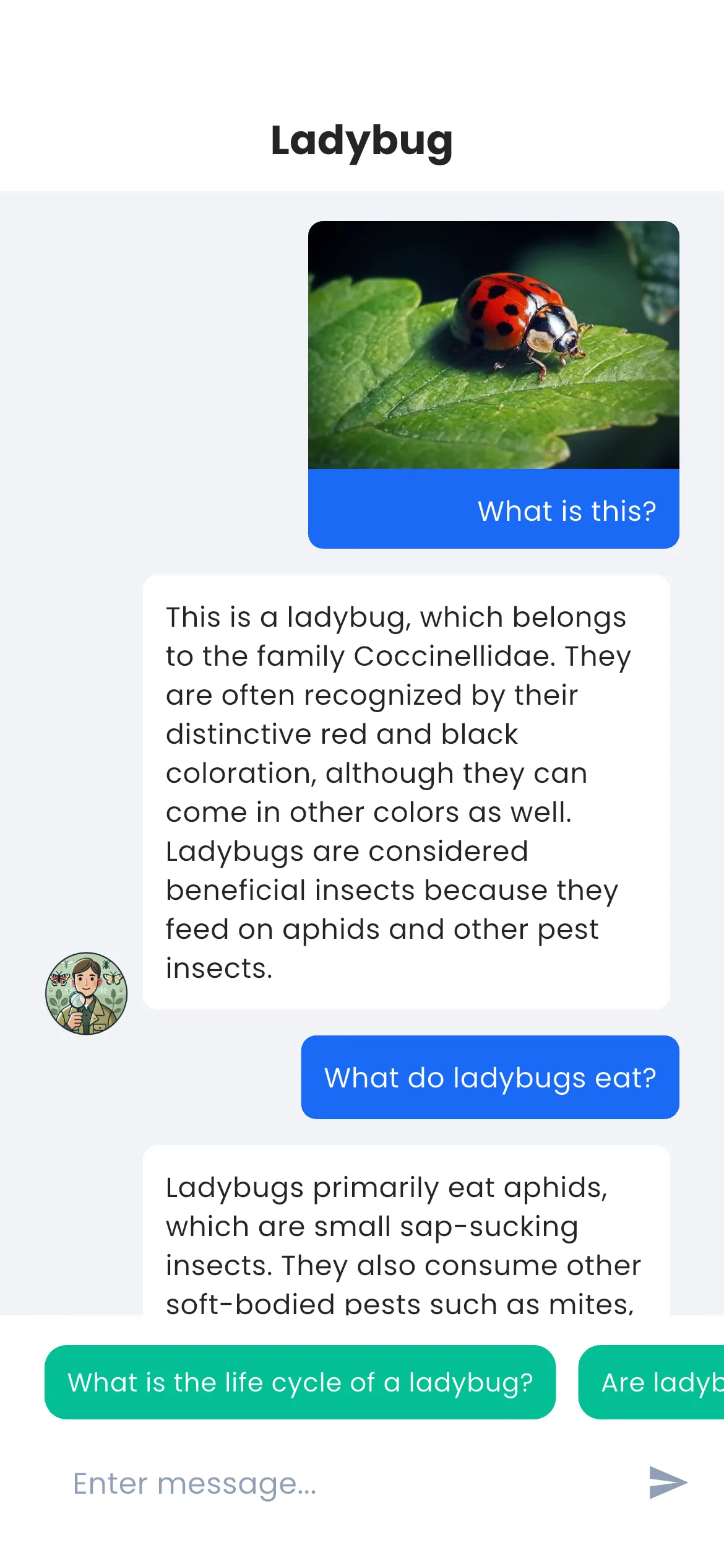 Chatting with AI assistant