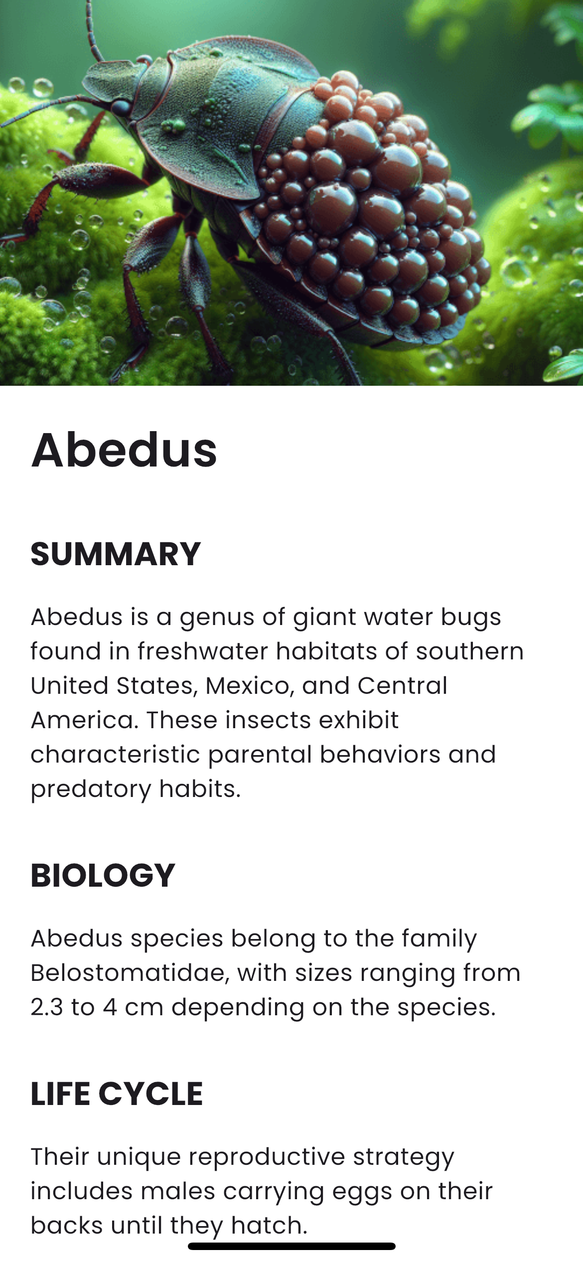 Viewing insect details
